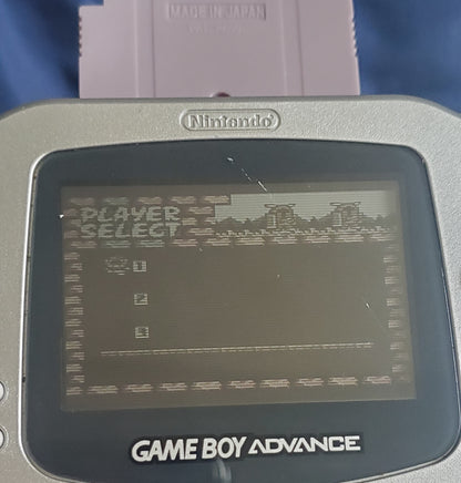 Legend of Zelda Oracle of Seasons GBC Video Game Boy Color 2001