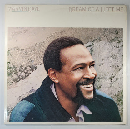 Marvin Gaye - Dream of a Lifetime [1985 Pitman Pressing] [Used Vinyl Record LP]