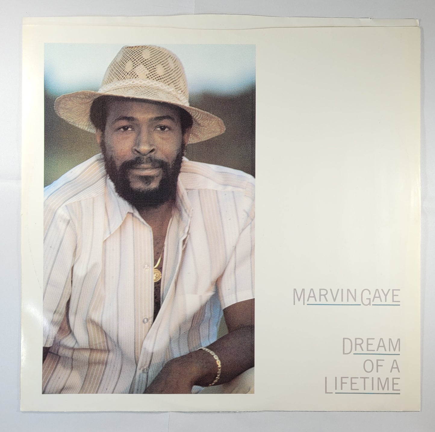 Marvin Gaye - Dream of a Lifetime [1985 Pitman Pressing] [Used Vinyl Record LP]