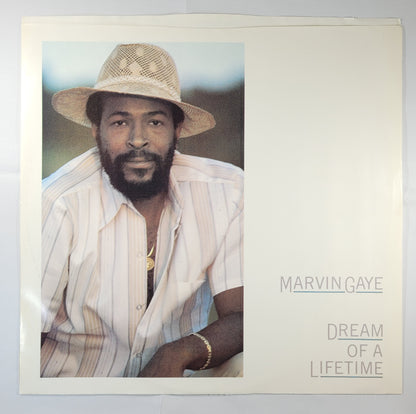 Marvin Gaye - Dream of a Lifetime [1985 Pitman Pressing] [Used Vinyl Record LP]