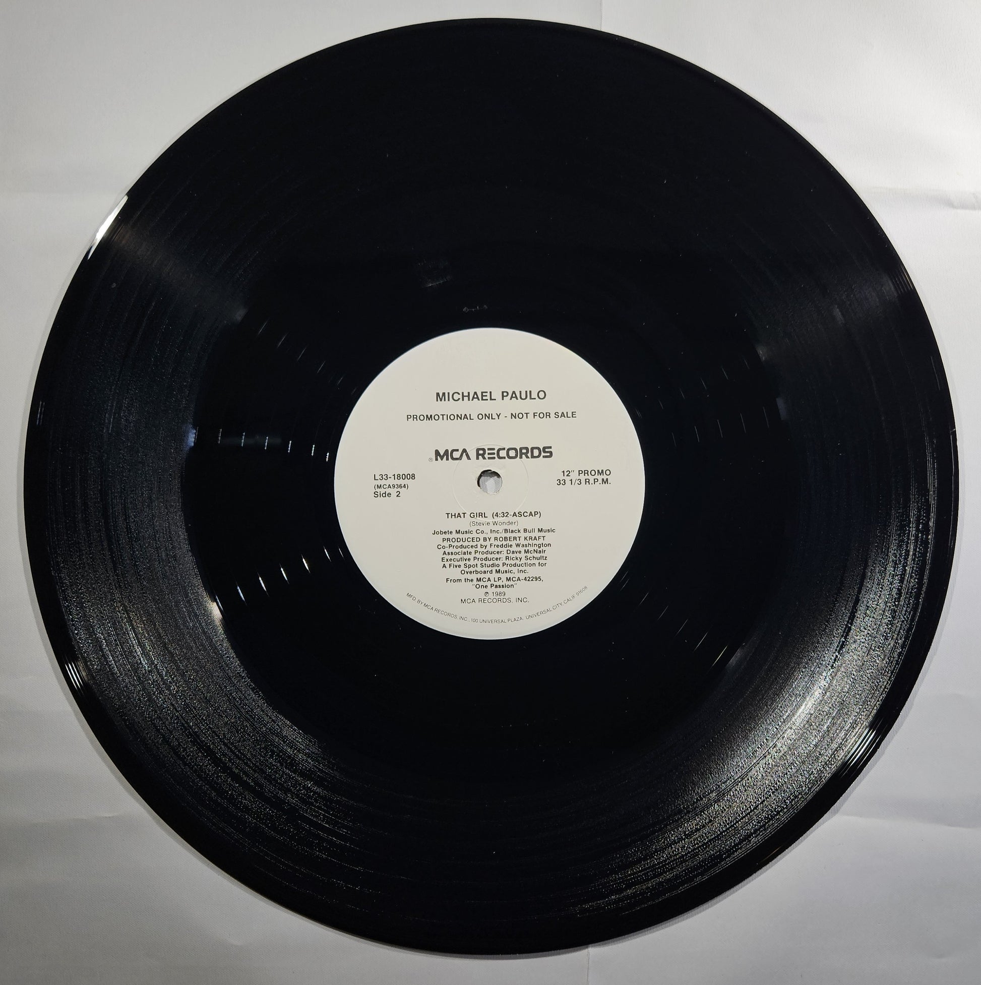 Michael Paulo - Fundamental Thing [1989 Promo] [Used Vinyl Record 12" Single]