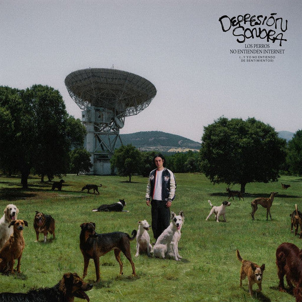 Depresin Sonora - Los Perros No Entienden Internet (Spa) [LP] Vinyl Record
