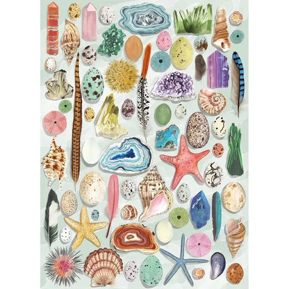 Natural Curiosities 1000 Piece Jigsaw Puzzle Gibsons