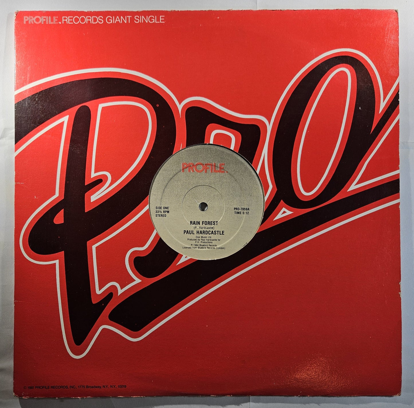 Paul Hardcastle - Rain Forest / Sound Chaser [1984 Used Vinyl Record 12" Single]