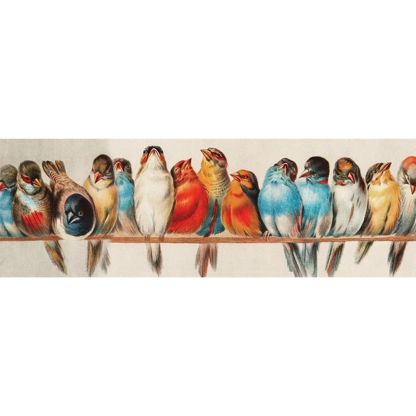 Perch 1000 Piece Panoramic Jigsaw Puzzle NYPC