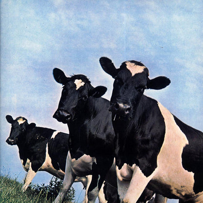 Pink Floyd - Atom Heart Mother [2016 Remastered 180G] [New Vinyl Record LP]