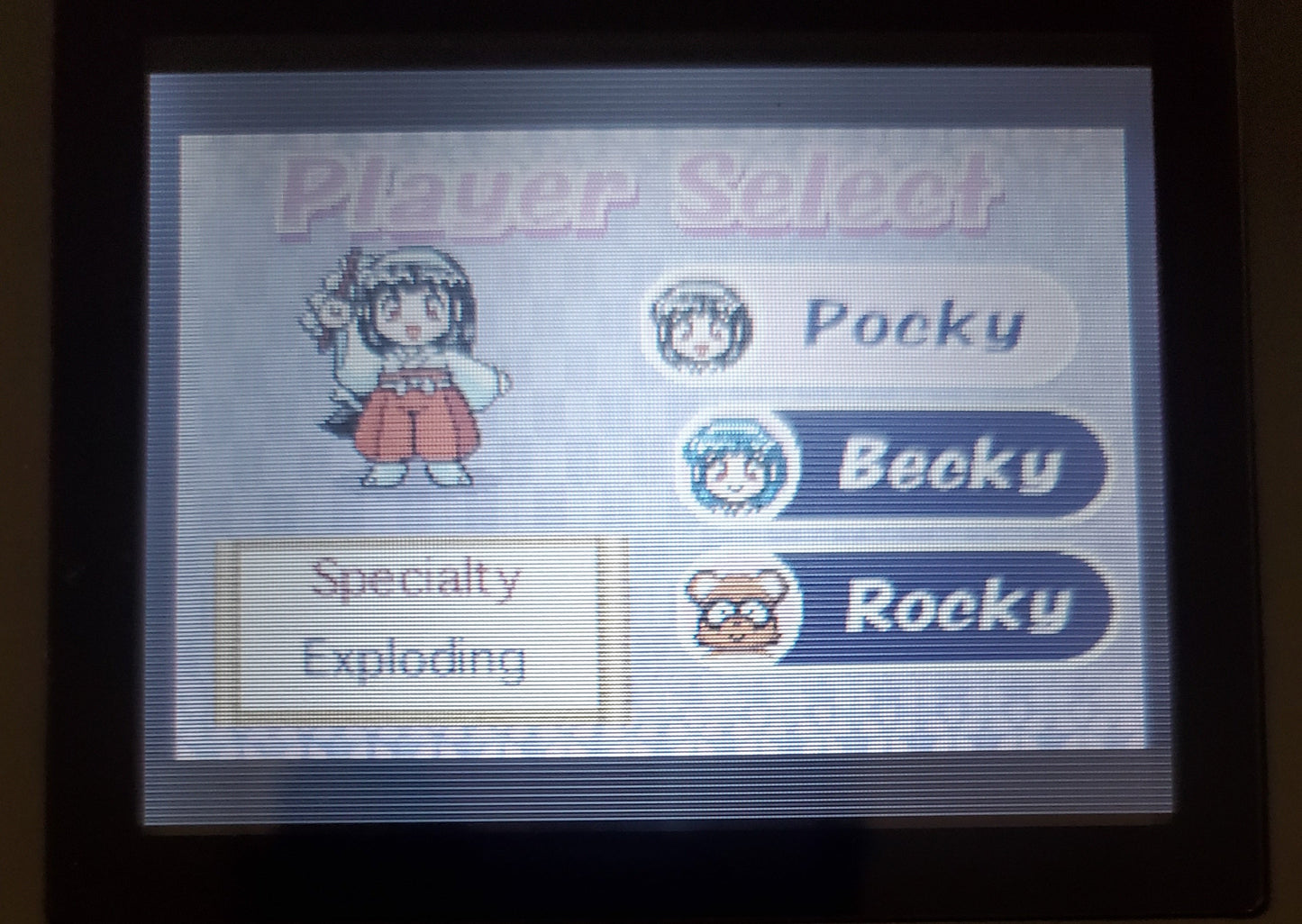 Pocky and Rocky with Becky GBA Video Game Boy Advance Nintendo