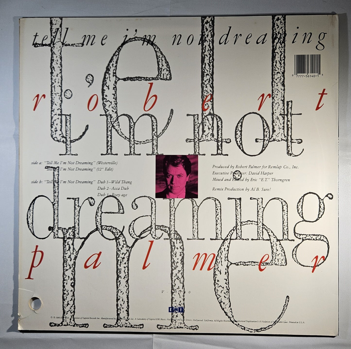 Robert Palmer - Tell Me I'm Not Dreaming [1989 Used Vinyl Record 12" Single] [B]