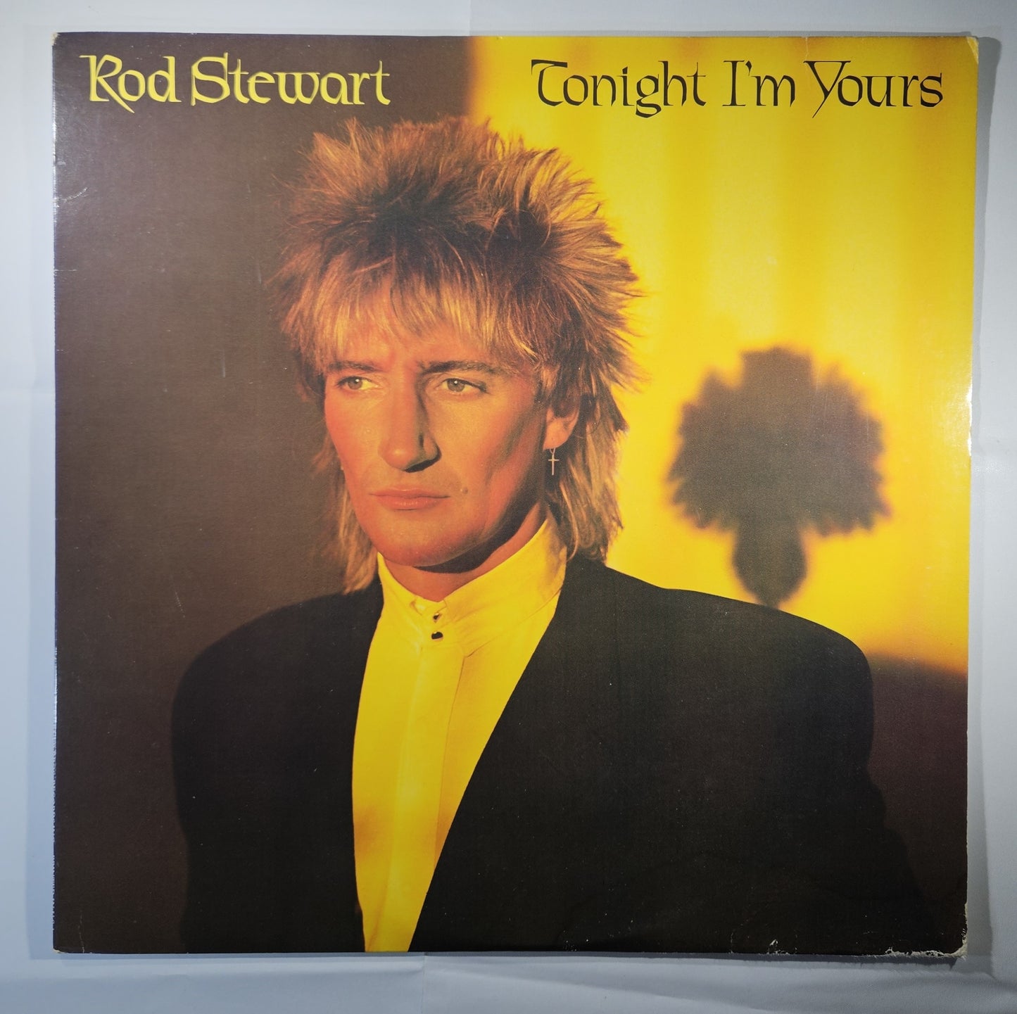 Rod Stewart - Tonight I'm Yours [1981 Los Angeles] [Used Vinyl Record LP] [B]