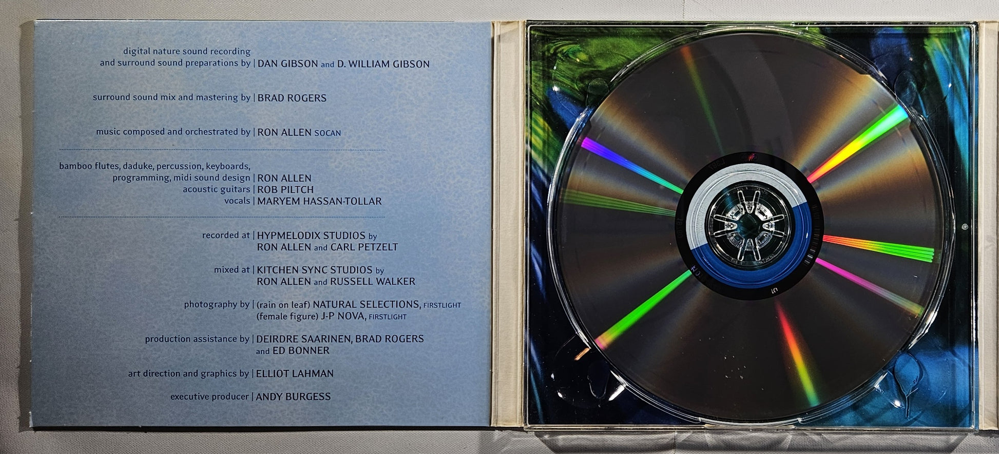 Ron Allen, Dan Gibson - Fountain of Youth [2001 Used CD]