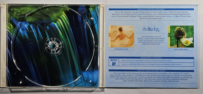 Ron Allen, Dan Gibson - Fountain of Youth [2001 Used CD]