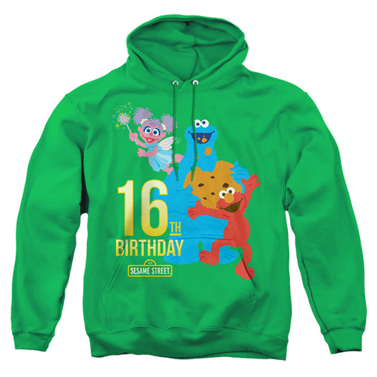 Sesame Street 16Th Birthday Mens Hoodie Kelly Green Officially Licensed