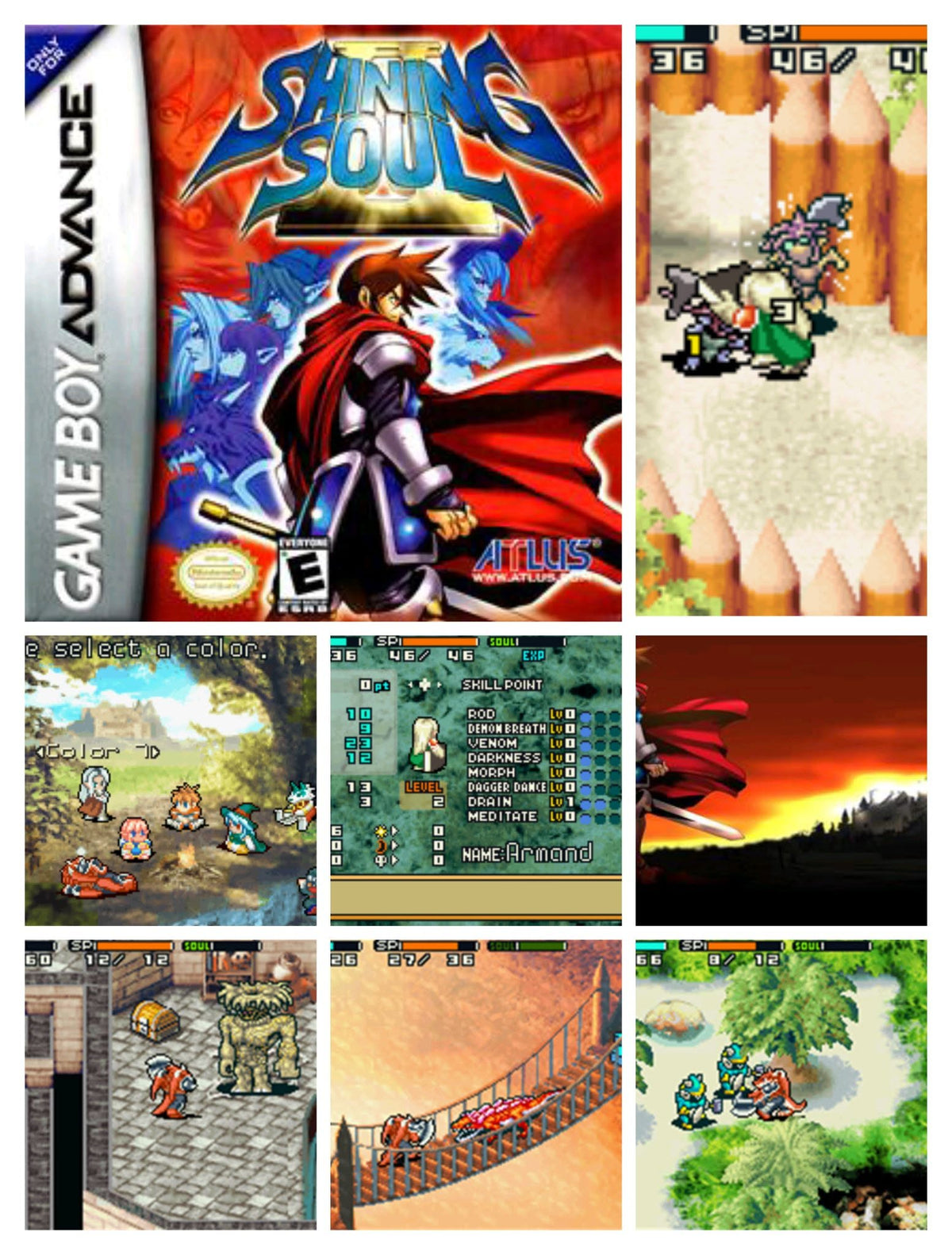 Shining Soul 2 GBA Video Game Cartridge Game Boy Advance 2004