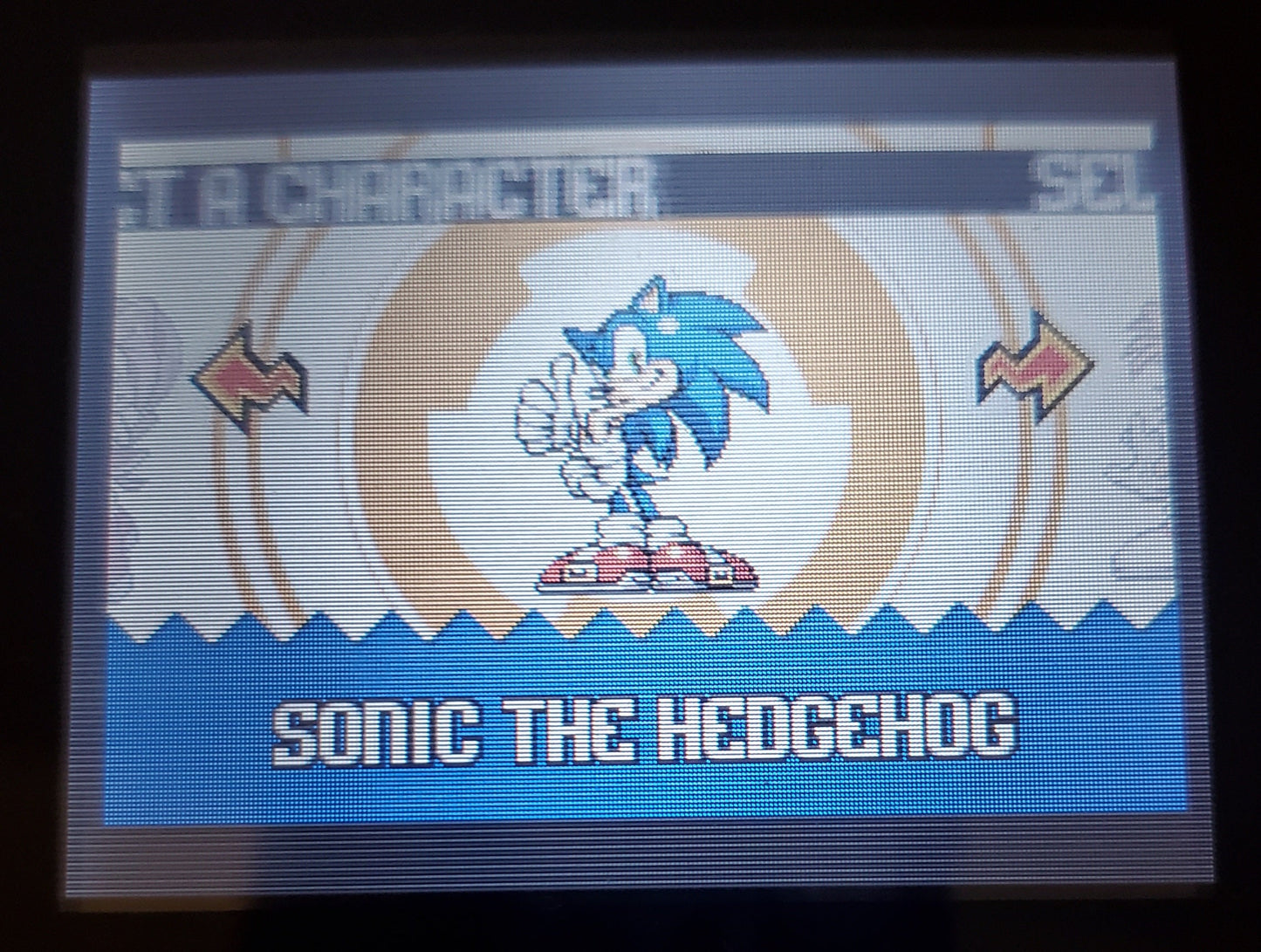 Sonic Advance 1 GBA Video Game Cartridge Nintendo Game Boy Advance