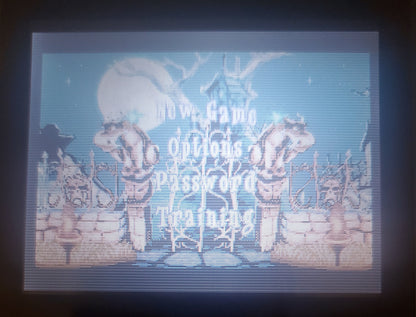 Spirits and Spells GBA Video Game Boy Advance Nintendo