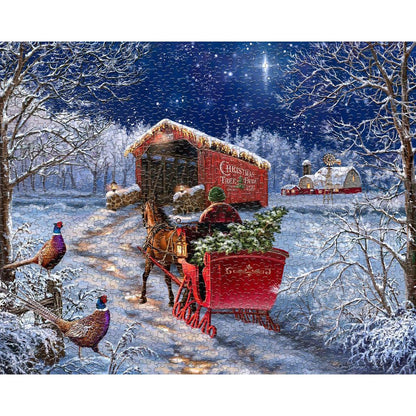 Starry Winter Night 1000 Piece Jigsaw Puzzle Springbok