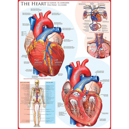 The Heart 1000 Piece Jigsaw Puzzle Eurographics