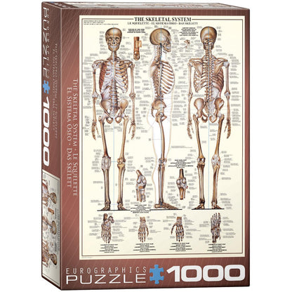 The Skeletal System 1000 Piece Jigsaw Puzzle Eurographics