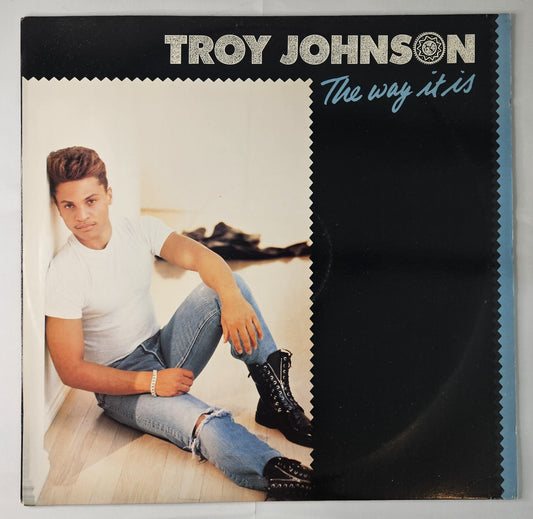 Troy Johnson - The Way It Is [1989 Promo] [Used Vinyl Record 12" Single]