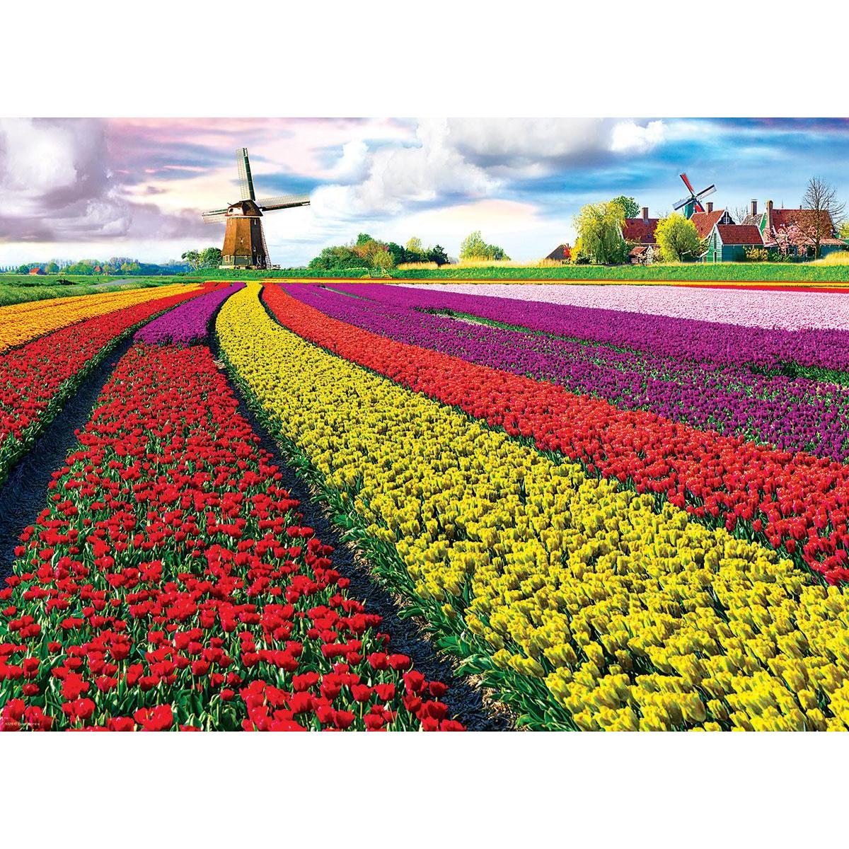 Tulip Fields 1000 Piece Jigsaw Puzzle Eurographics