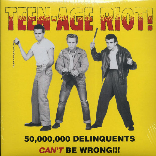 Various - Teen-Age Riot! 50,000,000 Delinquents Can't Be Wrong!!! [1988 Compilation] [New Vinyl Record LP]