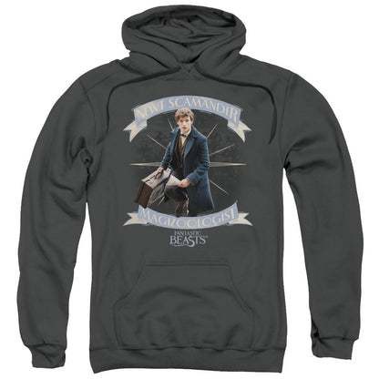 Fantastic Beasts Newt Scamander Mens Hoodie Charcoal Officially Licensed