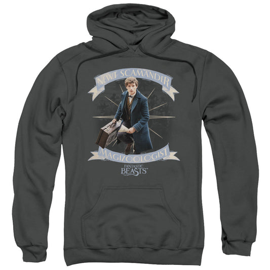 Fantastic Beasts Newt Scamander Mens Hoodie Charcoal Officially Licensed