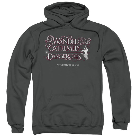 Fantastic Beasts Wanded Mens Hoodie Charcoal Officially Licensed