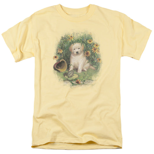 Wildlife A Prince Perhaps Yellow Lab Mens T Shirt Banana Officially Licensed