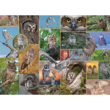 Watchful Wonders "Mixed Up" 1000 Piece Jigsaw Puzzle PuzzleTwist
