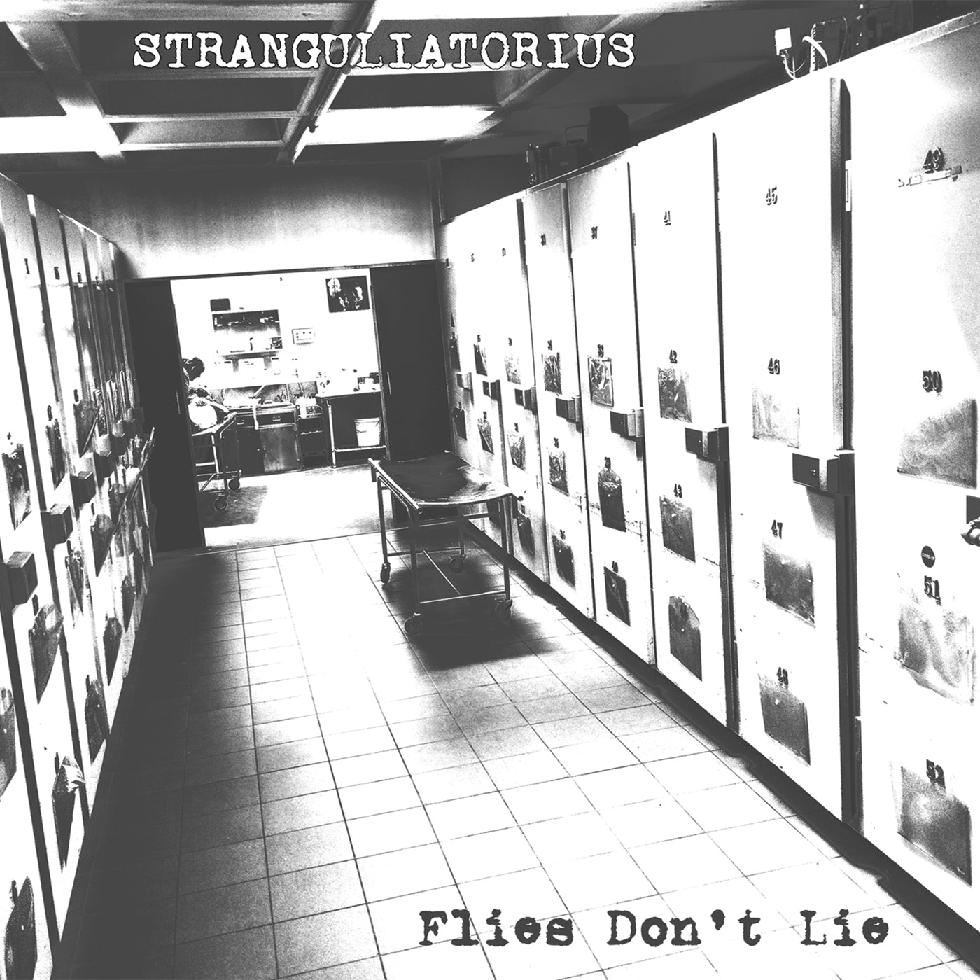 STRANGULIATORIUS - Flies Don't Lie CD [New]