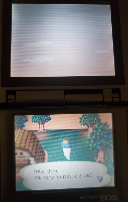 Animal Crossing Wild World NDS Video Game Cartridge Nintendo DS 2005