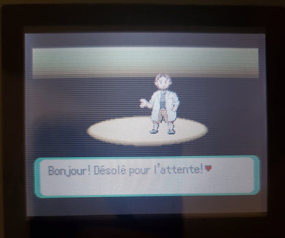 Pokemon Emerald FireRed Ruby Sapphire GBA Video Game French German
