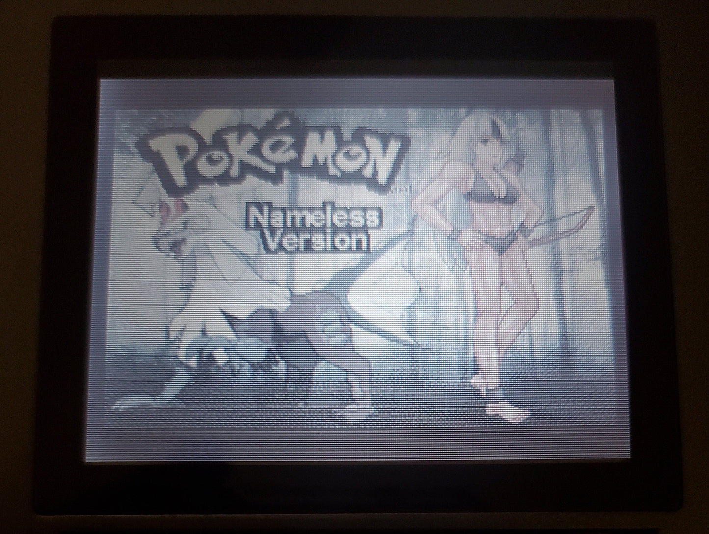 Pokemon Namless GBA Video Game Boy Advance Custom ROM Hack