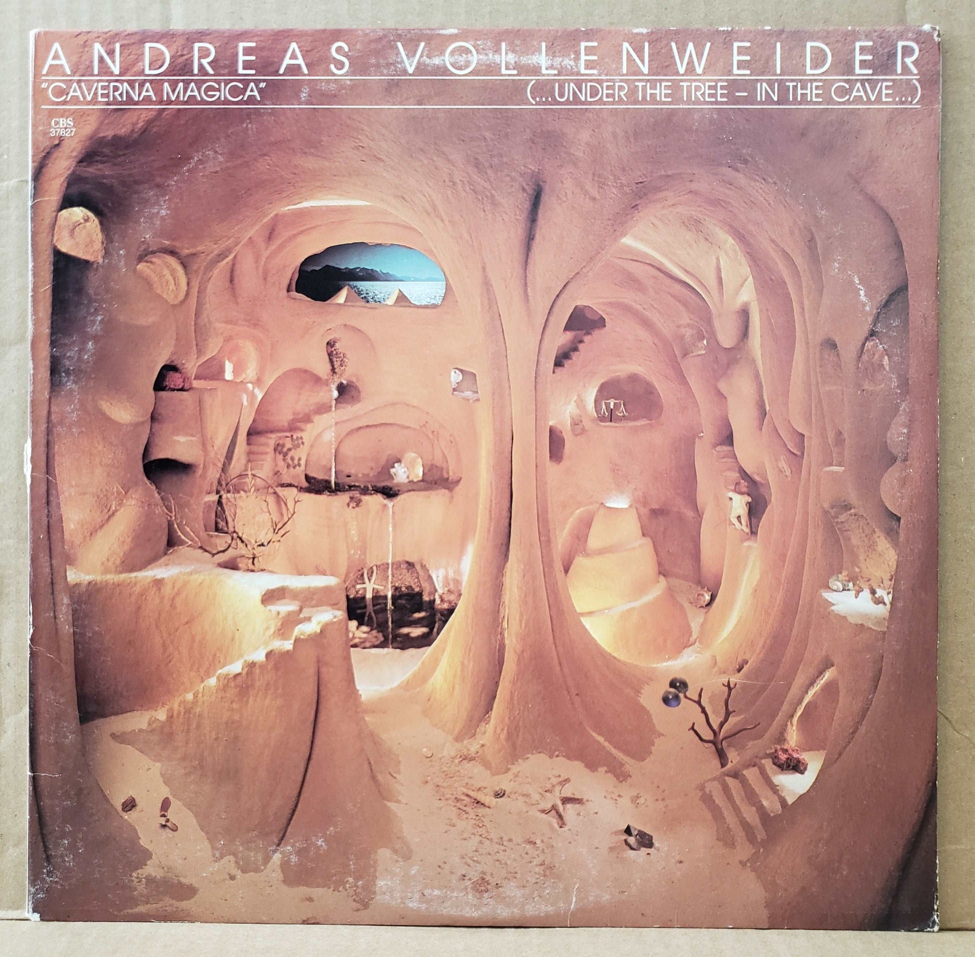 Andreas Vollenweider - Caverna Magica [1983 Carrollton] [Used Vinyl Record LP]