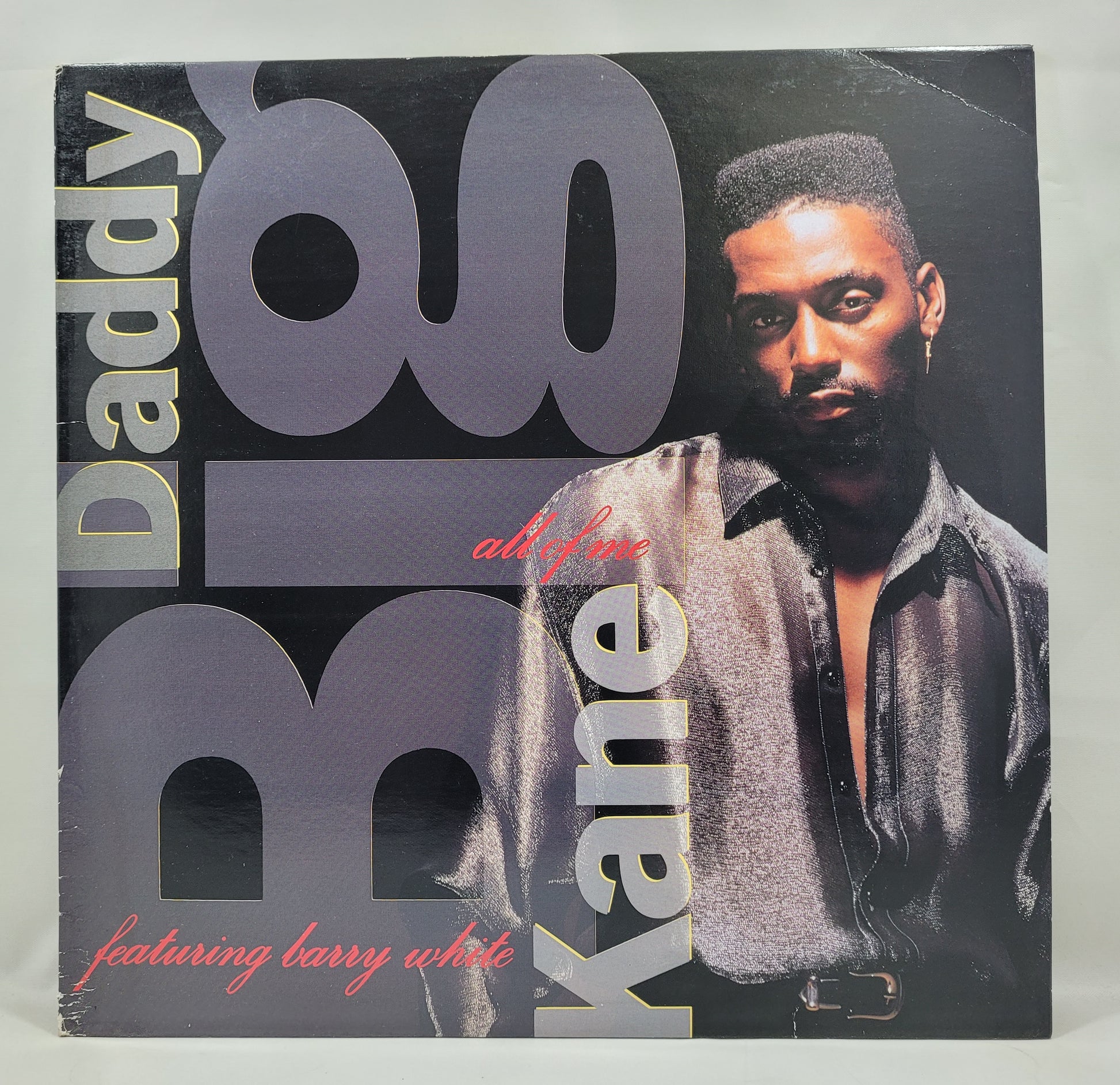 Big Daddy Kane Feat. Barry White - All of Me [1990 Promo] [Used Vinyl Record 12" Single]