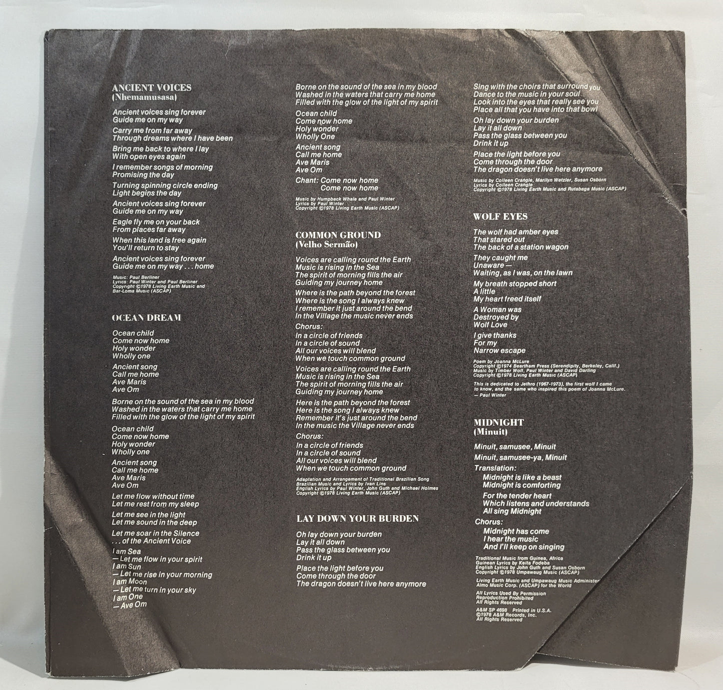 Paul Winter - Common Ground [Vinyl Record LP]